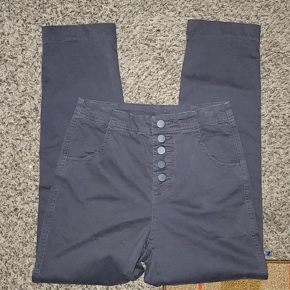 the group babaton | Jeans | The Group Babaton Aritzia Cigarette Pants Gray  Button Fly